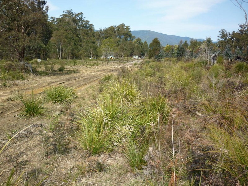 Tasman Highway, Scottsdale TAS 7260