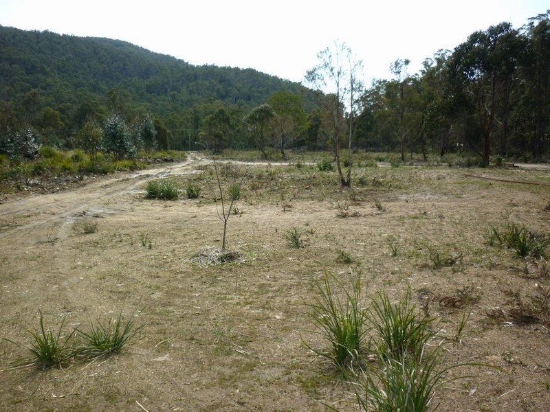 Tasman Highway, Scottsdale TAS 7260