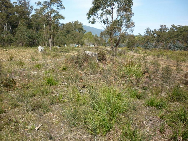 Tasman Highway, Scottsdale TAS 7260