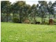 10 Fairview Ave, Ringarooma TAS 7263