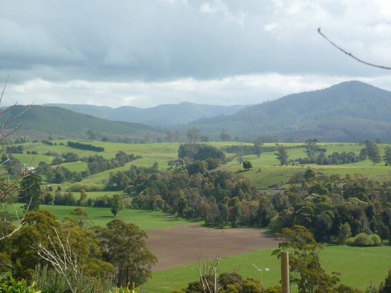 10 Fairview Ave, Ringarooma TAS 7263