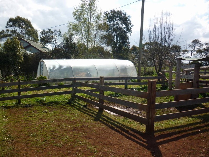 10 Fairview Ave, Ringarooma TAS 7263