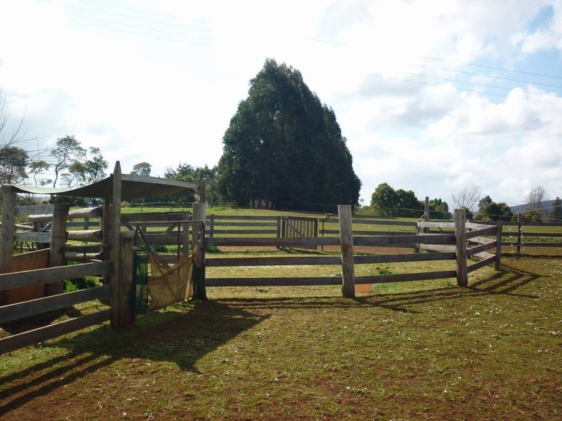 10 Fairview Ave, Ringarooma TAS 7263