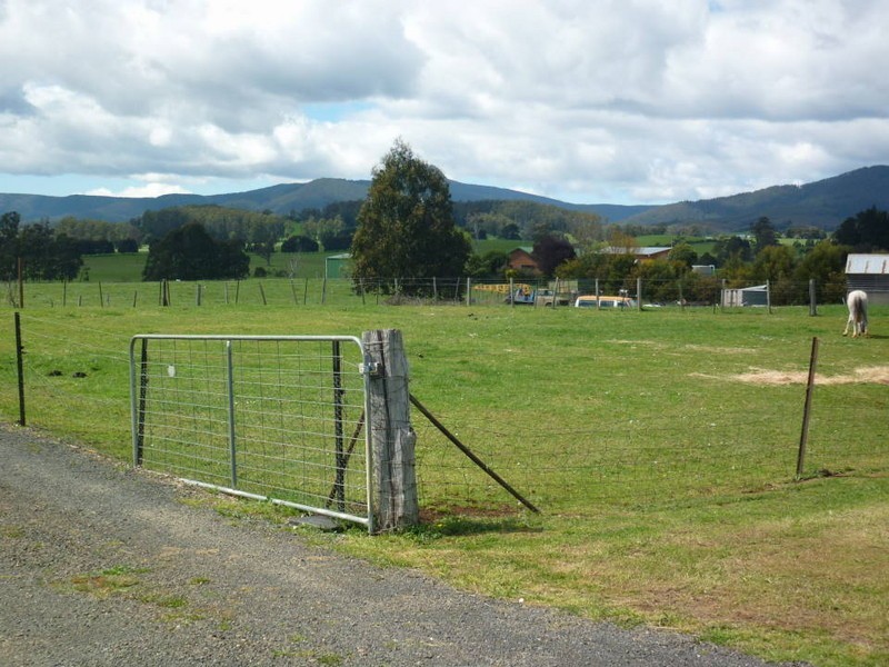 39 East Maurice Road, Ringarooma TAS 7263