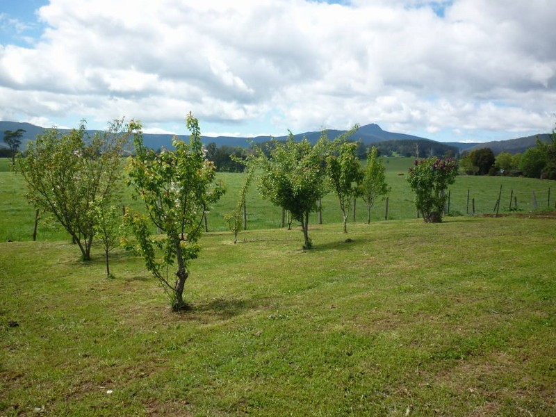 39 East Maurice Road, Ringarooma TAS 7263