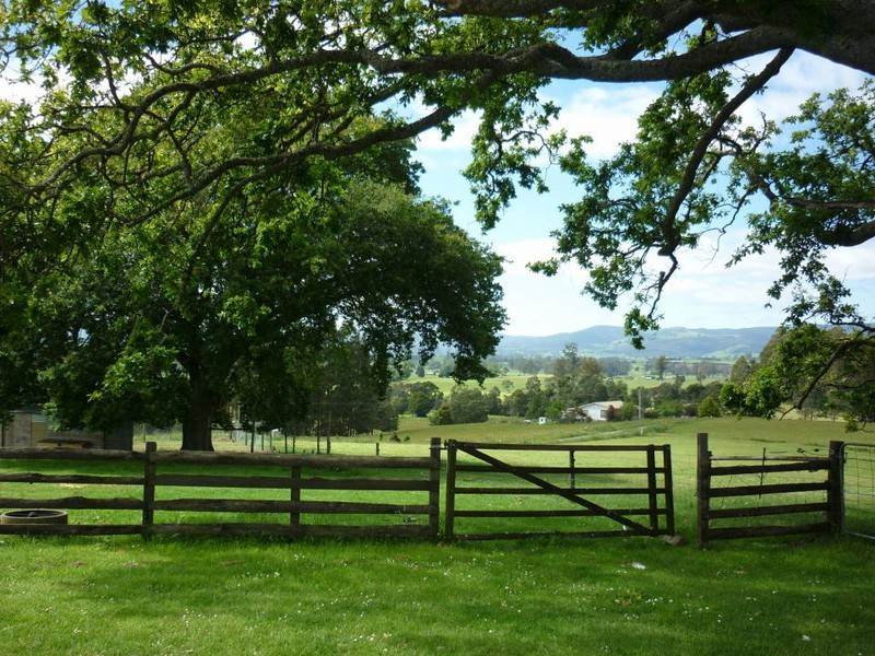 111 Snake Track, Legerwood TAS 7263