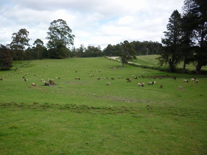 111 Snake Track, Legerwood TAS 7263