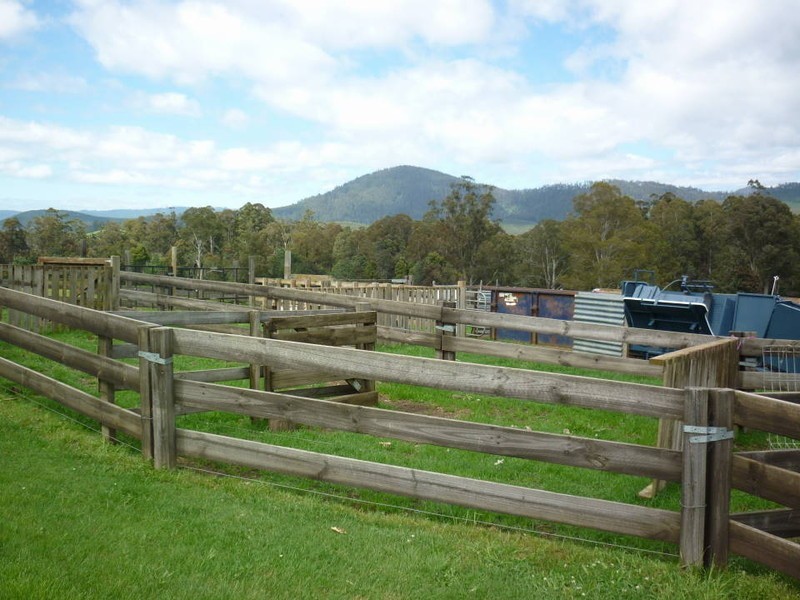 111 Snake Track, Legerwood TAS 7263