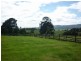 111 Snake Track, Legerwood TAS 7263