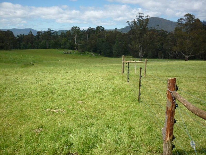 111 Snake Track, Legerwood TAS 7263