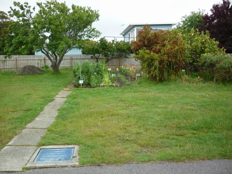 123 Main Street, Bridport TAS 7262