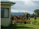 26  Carisbrook Lane, Legerwood TAS 7263