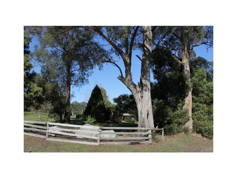 10 Briggs Road, Lietinna, Scottsdale TAS 7260