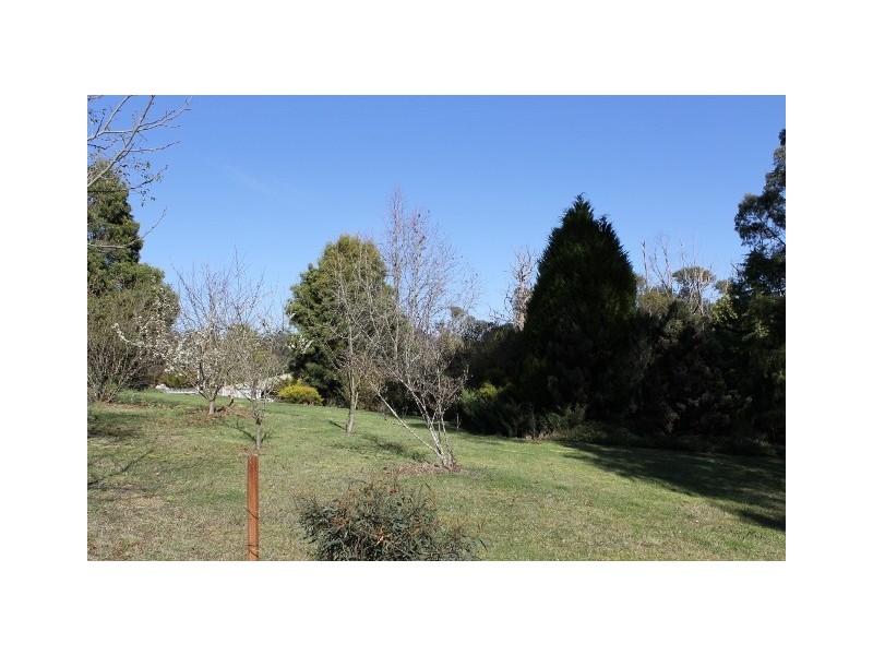 10 Briggs Road, Lietinna, Scottsdale TAS 7260