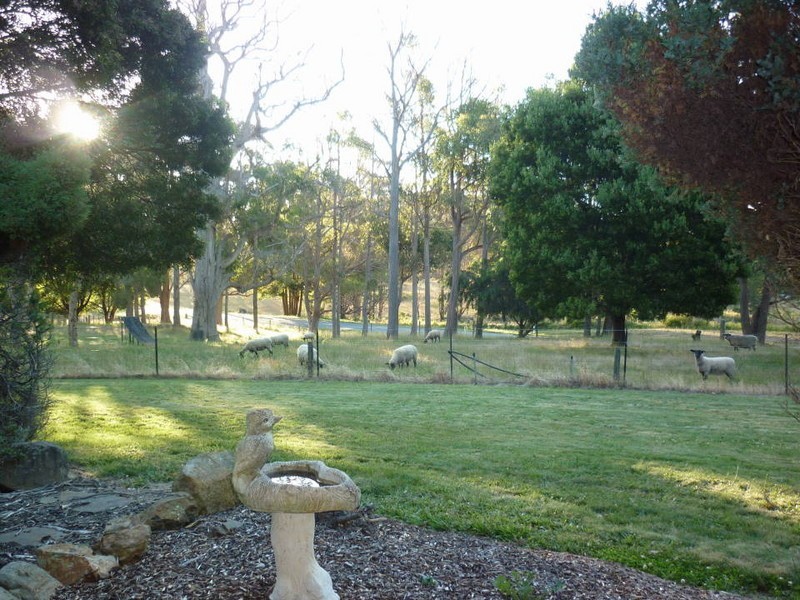 10 Briggs Road, Lietinna, Scottsdale TAS 7260