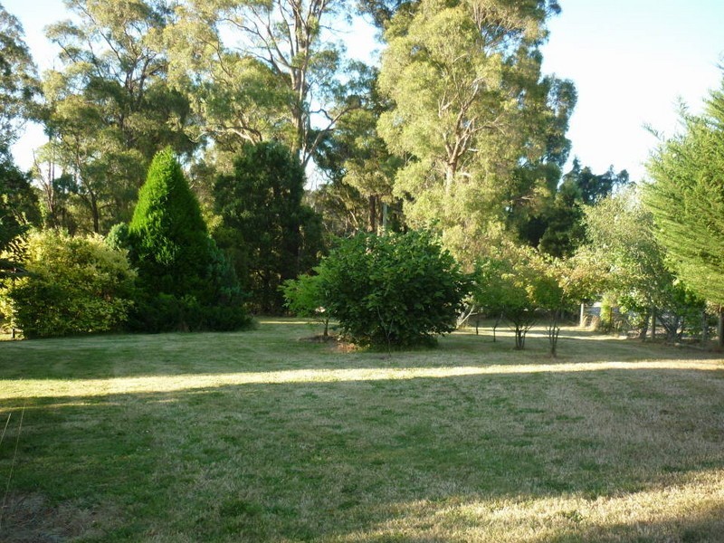 10 Briggs Road, Lietinna, Scottsdale TAS 7260