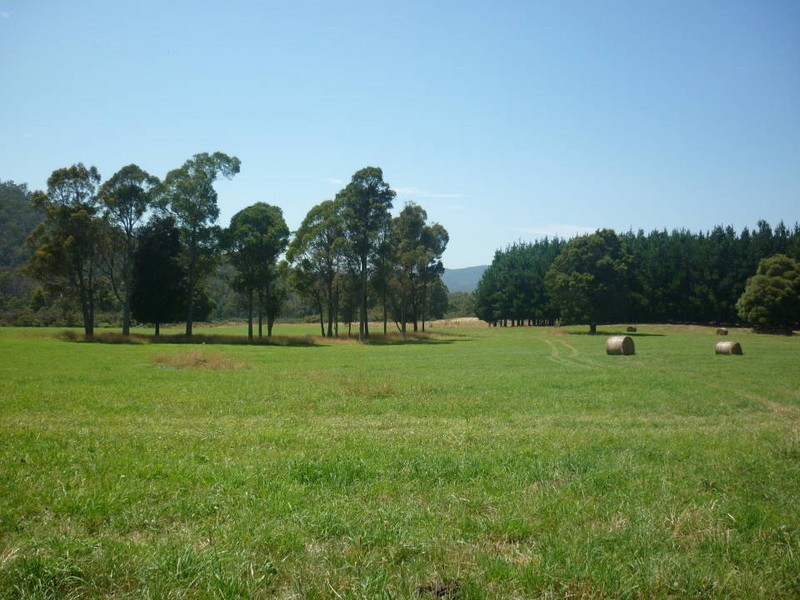 * Ten Mile Track, Scottsdale TAS 7260