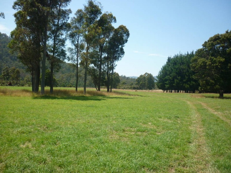 * Ten Mile Track, Scottsdale TAS 7260