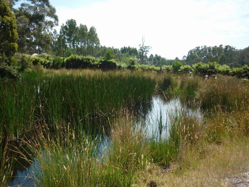 * Ten Mile Track, Scottsdale TAS 7260