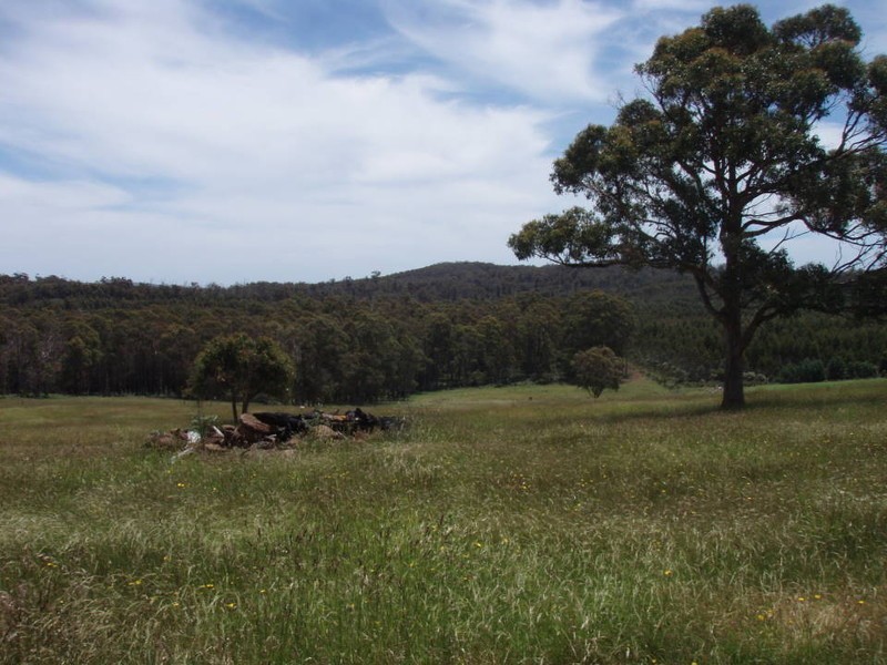 63 Red Road, Pipers River, Scottsdale TAS 7260