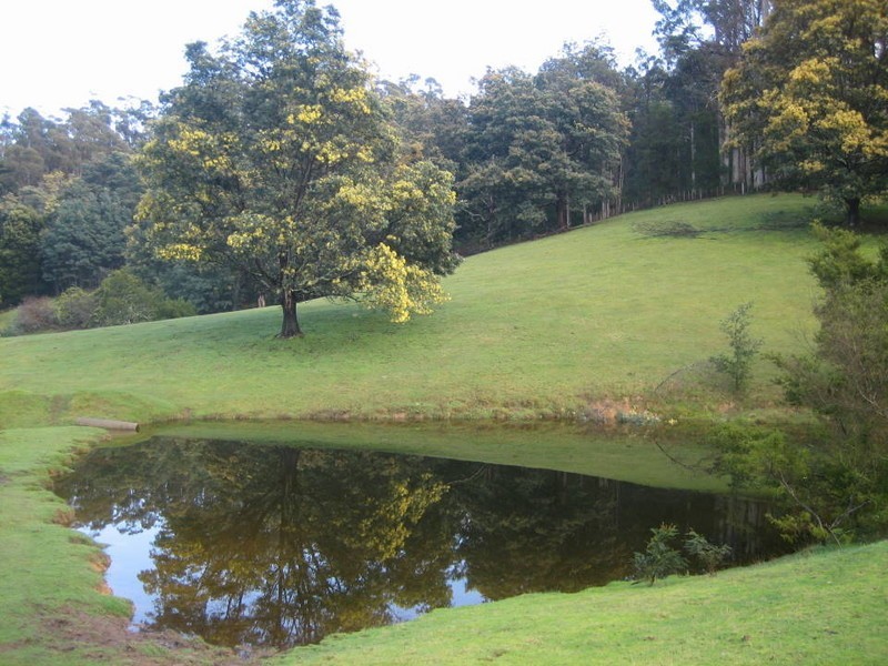 129 Nabowla Road, Scottsdale, Scottsdale TAS 7260