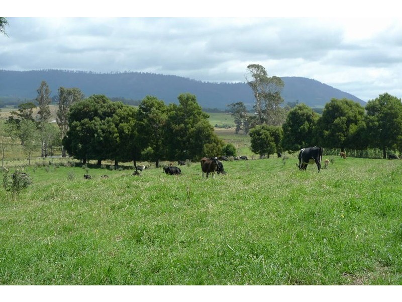 194 Pennells Road, Scottsdale TAS 7260