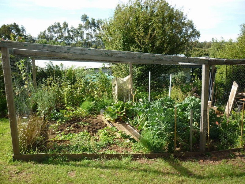 20 Pearce Street, Branxholm TAS 7261