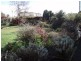 42 Scott Street, Branxholm TAS 7261