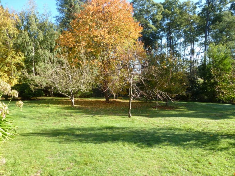 229 Lalla Road, Lalla TAS 7267