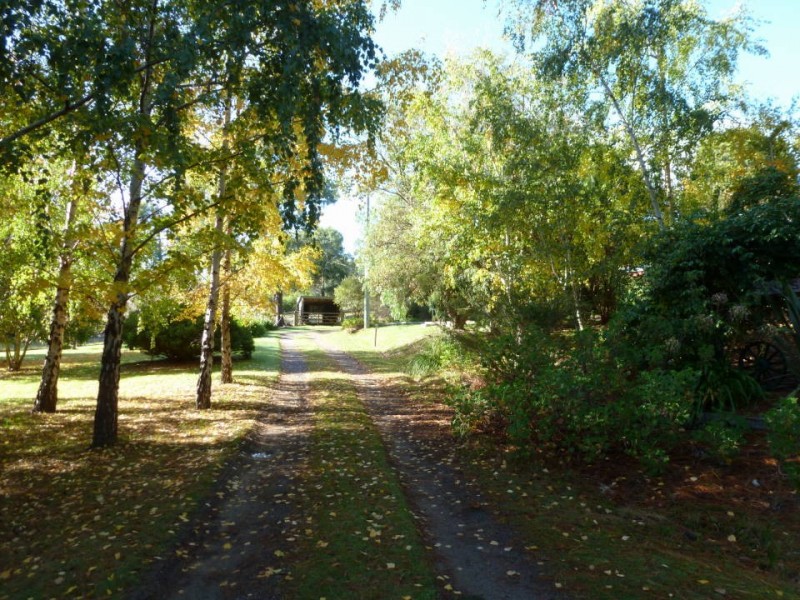 229 Lalla Road, Lalla TAS 7267