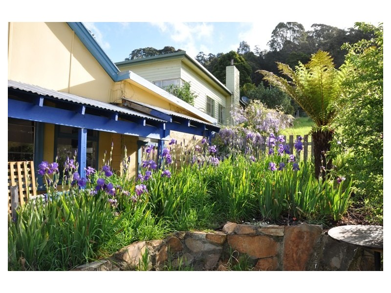 62 Main Street, Derby TAS 7264
