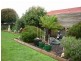 17 Gofton Street, Scottsdale TAS 7260