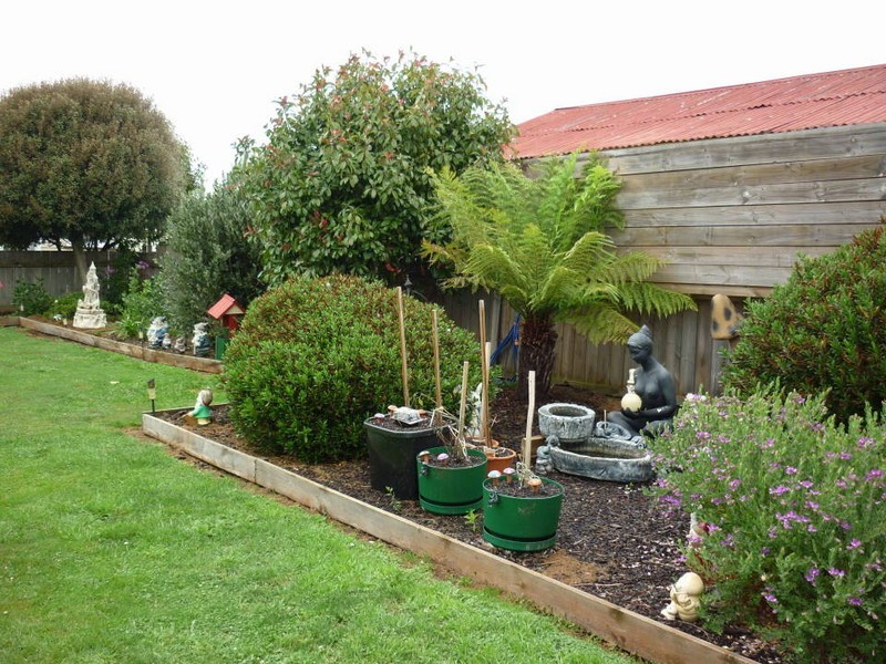 17 Gofton Street, Scottsdale TAS 7260