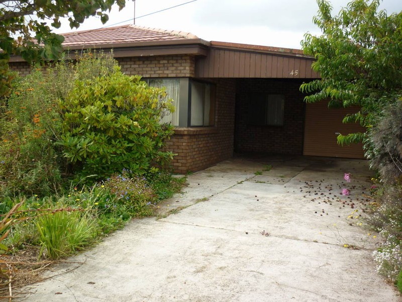 45 Ellenor Street, Scottsdale TAS 7260