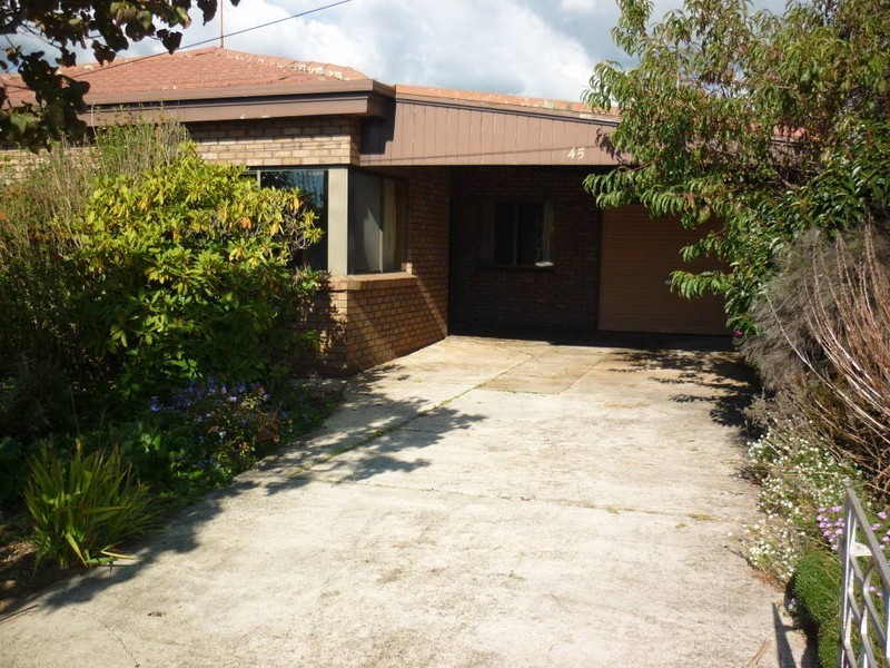 45 Ellenor Street, Scottsdale TAS 7260