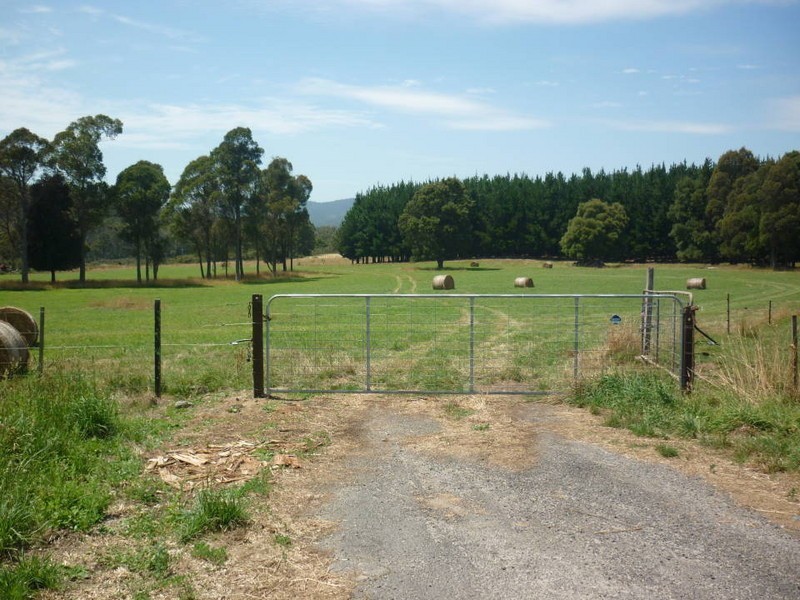 * Ten Mile Track, Scottsdale TAS 7260
