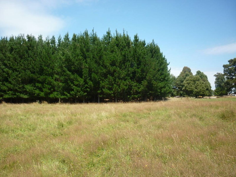 * Ten Mile Track, Scottsdale TAS 7260