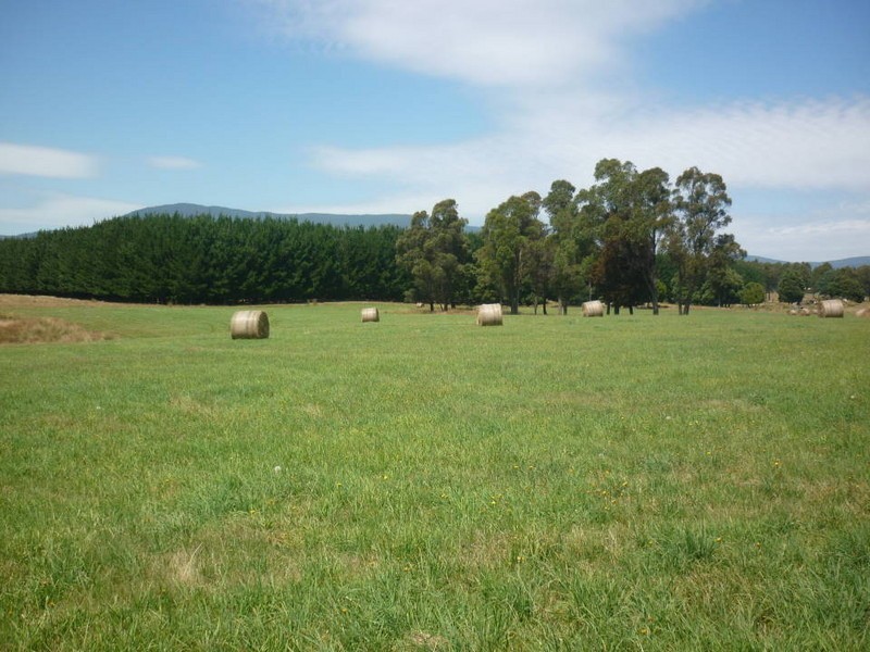 * Ten Mile Track, Scottsdale TAS 7260