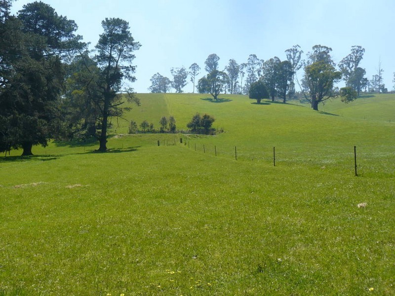 * Cuckoo Road, Scottsdale TAS 7260