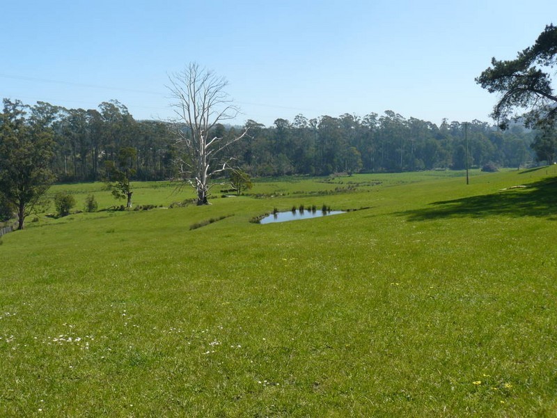 * Cuckoo Road, Scottsdale TAS 7260