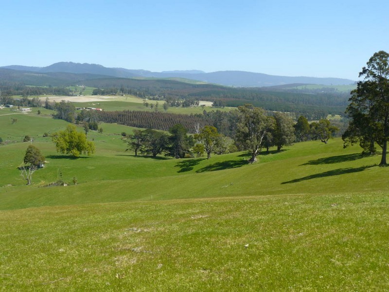 * Cuckoo Road, Scottsdale TAS 7260