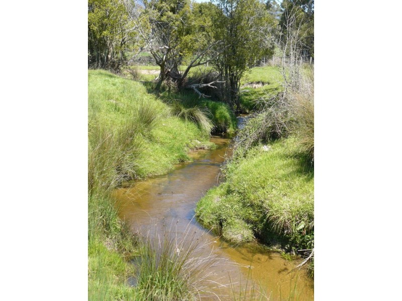 * Cuckoo Road, Scottsdale TAS 7260