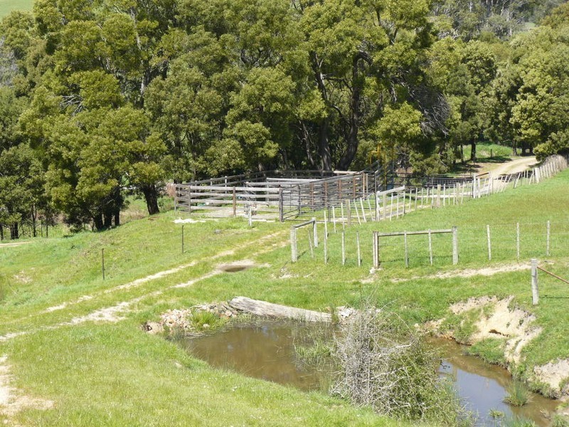 * Cuckoo Road, Scottsdale TAS 7260