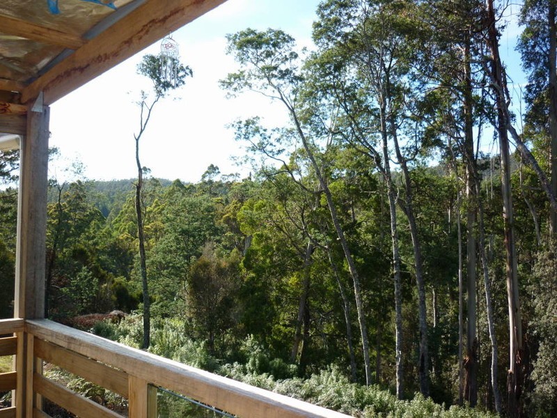 411 Mutual Road, Derby TAS 7264