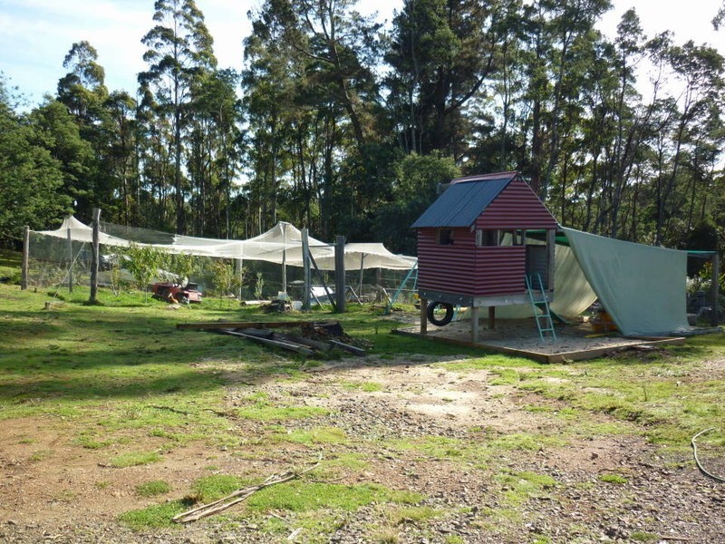 411 Mutual Road, Derby TAS 7264