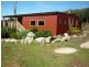 411 Mutual Road, Derby TAS 7264