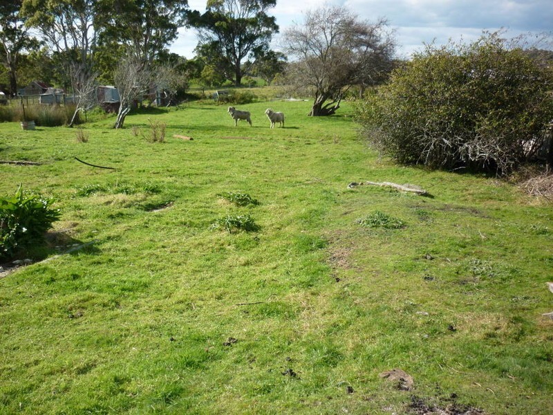 60 Chaffey Street, Gladstone TAS 7264