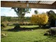 110 Bridport Back Road, Nabowla, Scottsdale TAS 7260