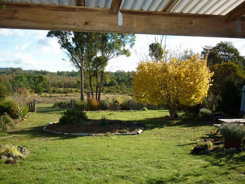 110 Bridport Back Road, Nabowla, Scottsdale TAS 7260