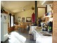 110 Bridport Back Road, Nabowla, Scottsdale TAS 7260